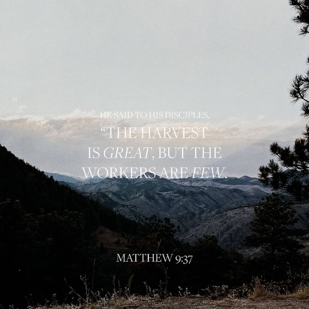 THE GREATEST SERVANT